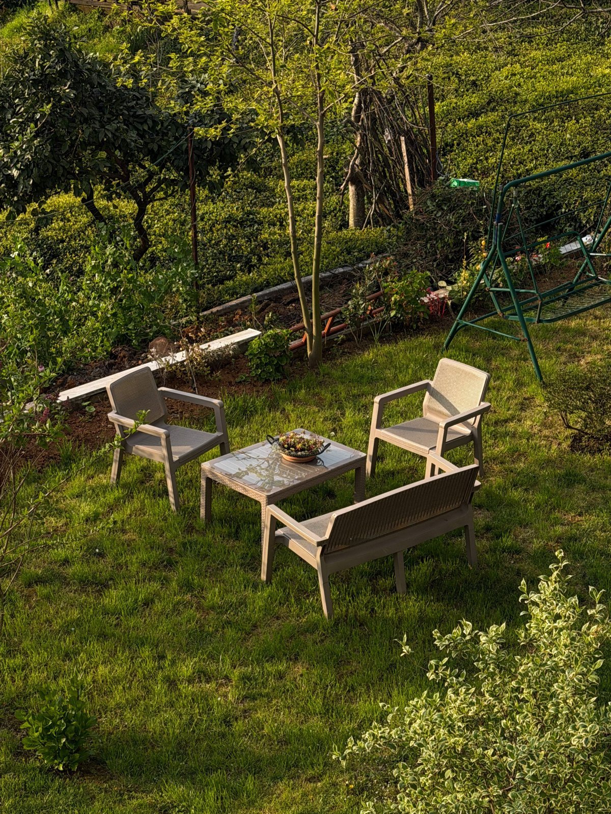 Sunlit Woody Chair
